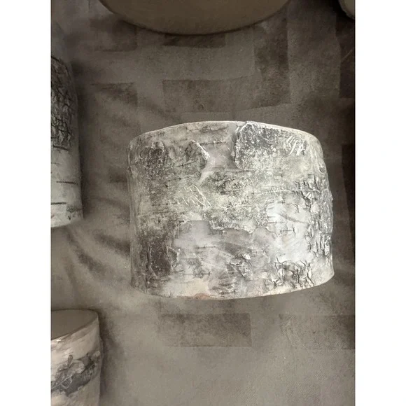 ArtMinds Birch Wood Rounds Slice Natural Unfinished Craft Decor Lot Of 6 USA - Picture 8 of 16